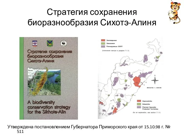 Стратегия сохранения биоразнообразия Сихотэ-Алиня Утверждена постановлением Губернатора Приморского края от 15.10.98 г. № 511