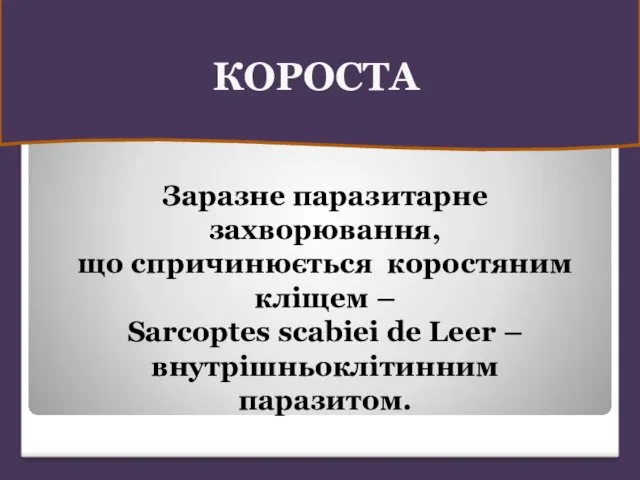 КОРОСТА Заразне паразитарне захворювання, що спричинюється коростяним кліщем – Sarcoptes scabiei de Leer – внутрішньоклітинним паразитом.