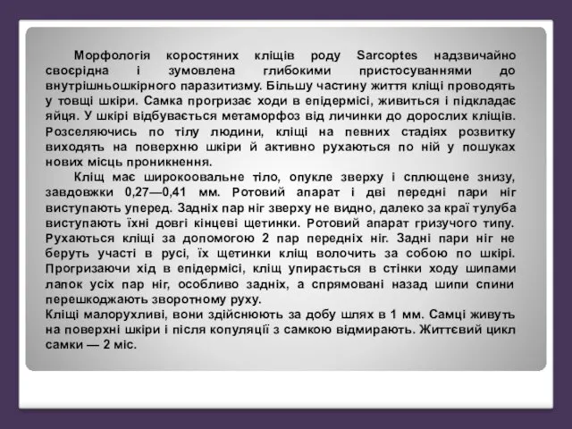 Морфологія коростяних кліщів роду Sarcoptes надзвичайно своєрідна і зумовлена глибокими