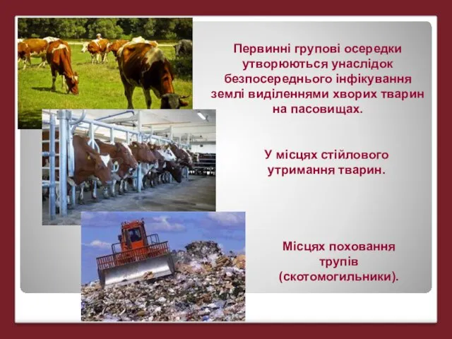 Первинні групові осередки утворюються унаслідок безпосереднього інфікування землі виділеннями хворих