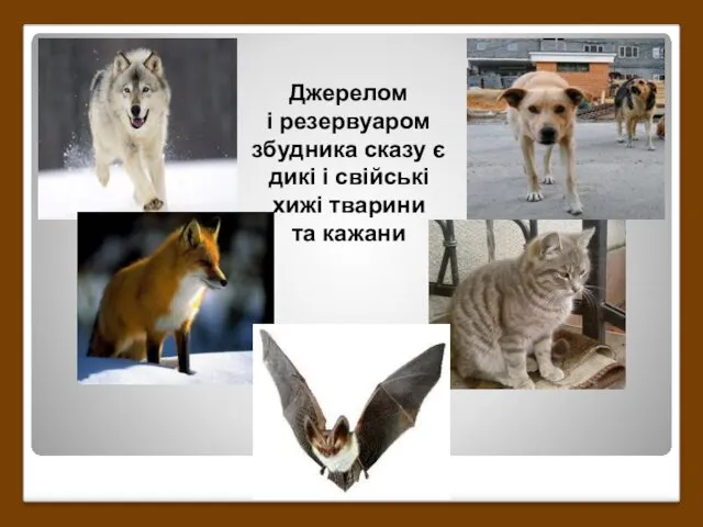 Джерелом і резервуаром збудника сказу є дикі і свійські хижі тварини та кажани