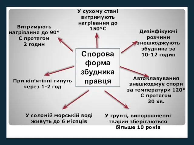 Витримують нагрівання до 90°С протягом 2 годин При кіп′ятінні гинуть