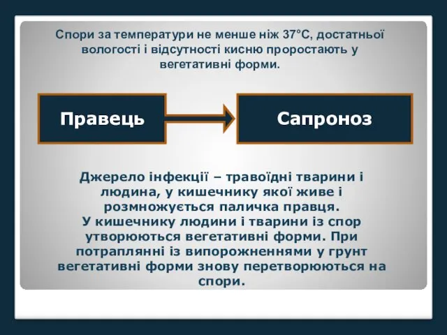 Спори за температури не менше ніж 37°С, достатньої вологості і