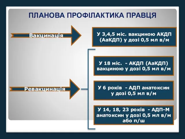 ПЛАНОВА ПРОФІЛАКТИКА ПРАВЦЯ Вакцинація У 3,4,5 міс. вакциною АКДП (АаКДП)