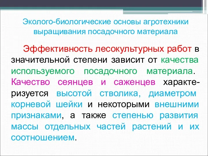 Эколого-биологические основы агротехники выращивания посадочного материала Эффективность лесокультурных работ в