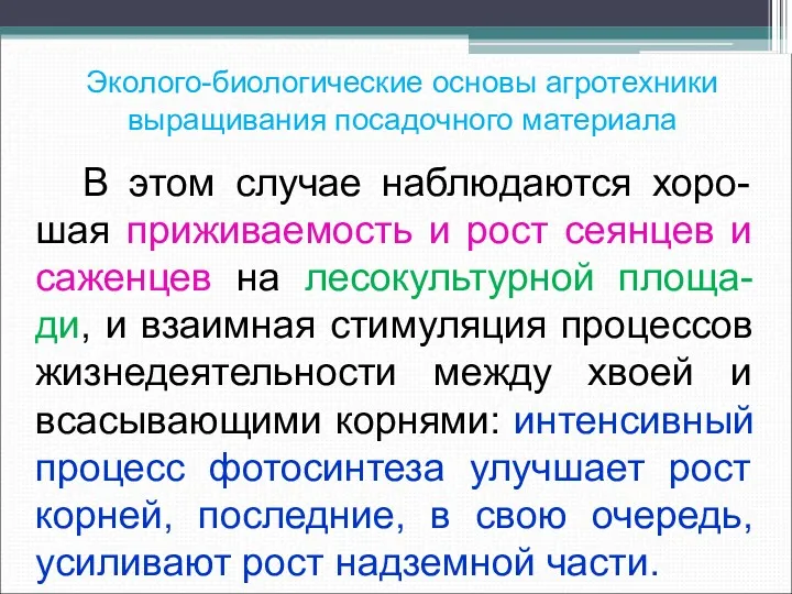 Эколого-биологические основы агротехники выращивания посадочного материала В этом случае наблюдаются