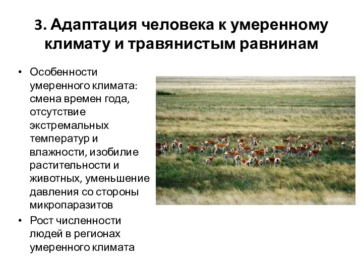 3. Адаптация человека к умеренному климату и травянистым равнинам Особенности