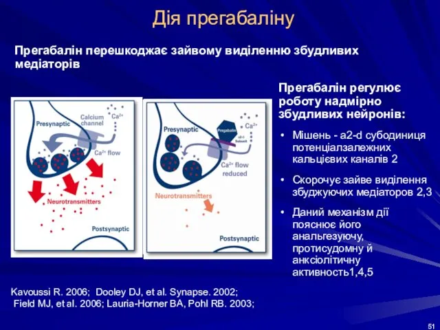 Дія прегабаліну Kavoussi R. 2006; Dooley DJ, et al. Synapse. 2002; Field MJ,