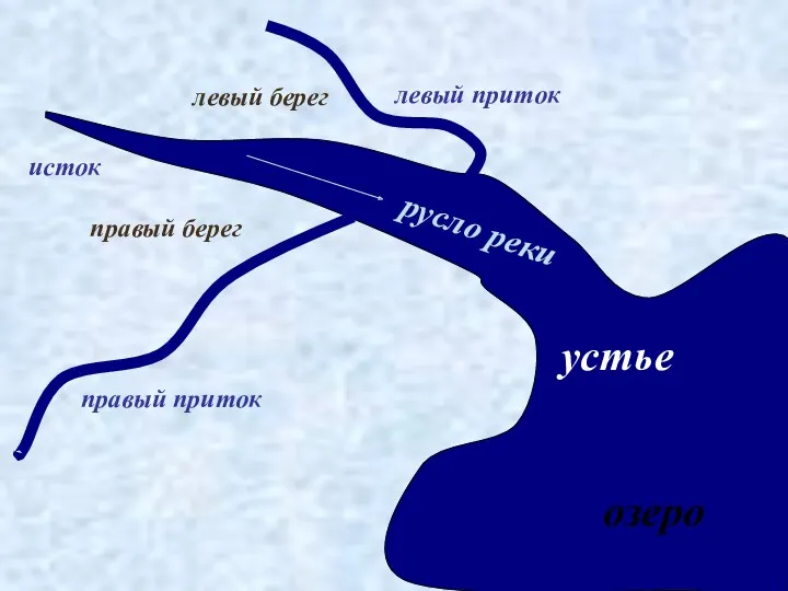 устье озеро правый берег левый берег русло реки исток правый приток левый приток