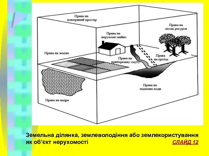 Земельна ділянка, землеволодіння або землекористування як об’єкт нерухомості СЛАЙД 12