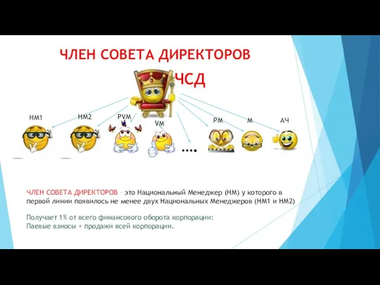 ЧЛЕН СОВЕТА ДИРЕКТОРОВ …. ЧСД НМ1 НМ2 PVM VM PM