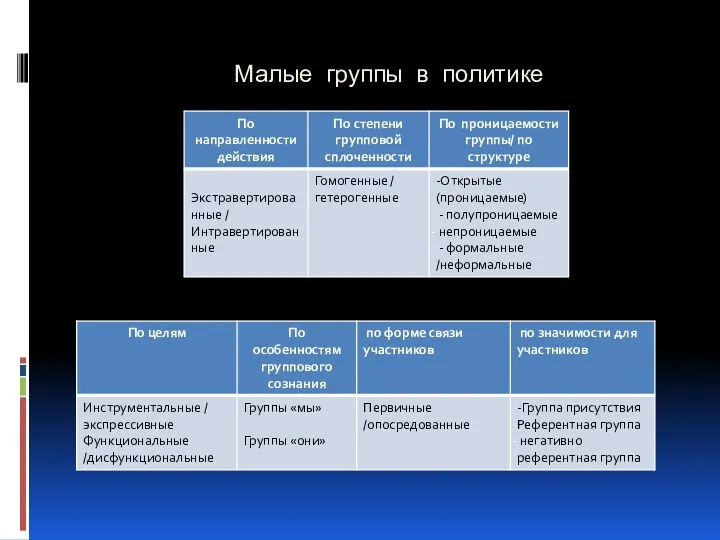 Малые группы в политике