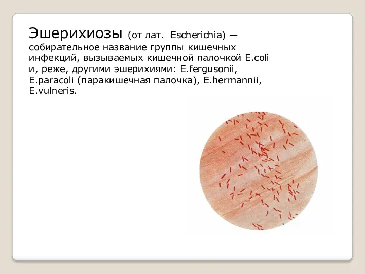 Эшерихиозы (от лат. Escherichia) — собирательное название группы кишечных инфекций, вызываемых кишечной палочкой