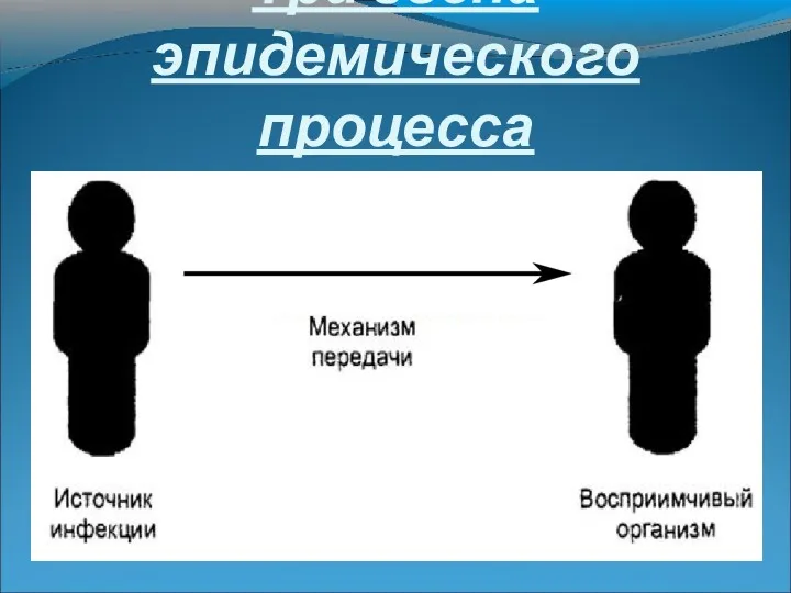 Три звена эпидемического процесса