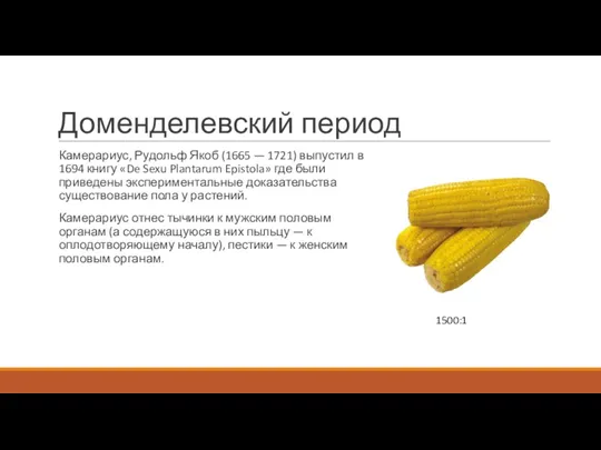 Доменделевский период Камерариус, Рудольф Якоб (1665 — 1721) выпустил в 1694 книгу «De