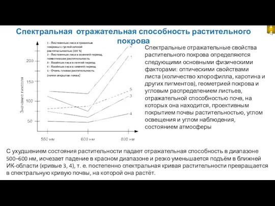 Спектральные отражательные свойства растительного покрова определяются следующими основными физическими факторами: