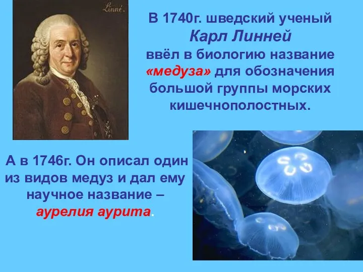 В 1740г. шведский ученый Карл Линней ввёл в биологию название