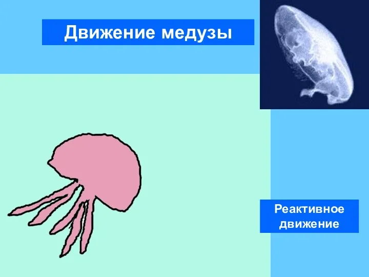 Движение медузы Реактивное движение