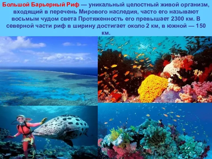 Большой Барьерный Риф — уникальный целостный живой организм, входящий в перечень Мирового наследия,