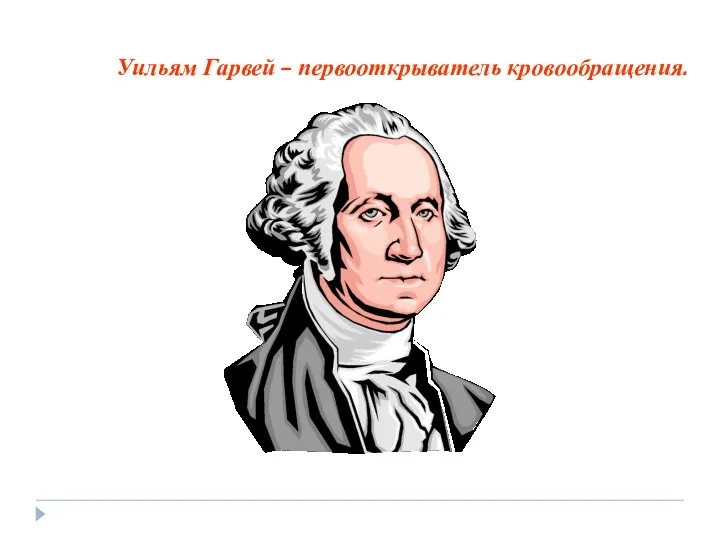 Уильям Гарвей – первооткрыватель кровообращения.