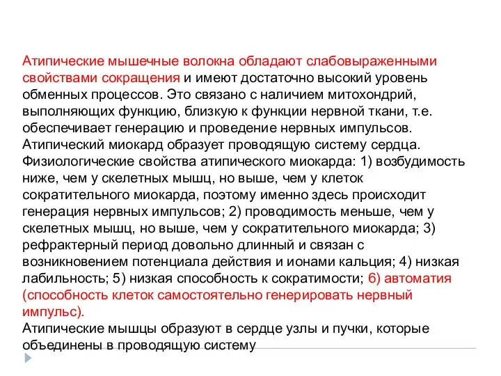 Атипические мышечные волокна обладают слабовыраженными свойствами сокращения и имеют достаточно