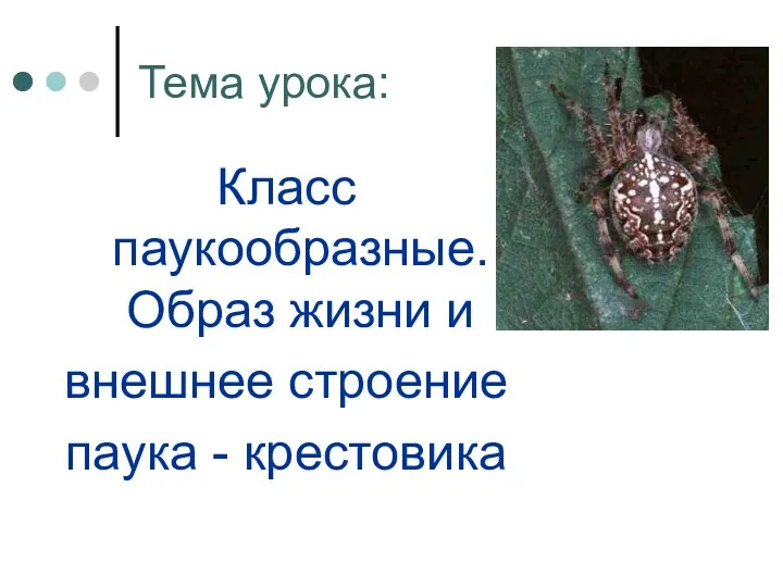 Тема урока: Класс паукообразные. Образ жизни и внешнее строение паука - крестовика
