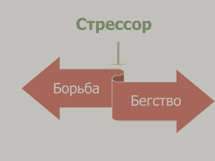 Стрессор