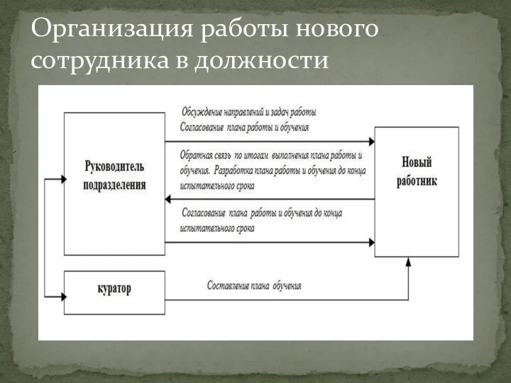 Организация работы нового сотрудника в должности