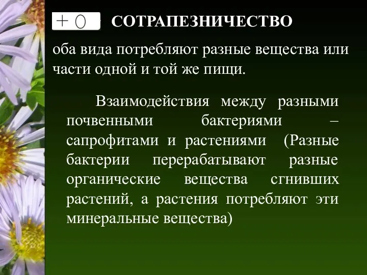 СОТРАПЕЗНИЧЕСТВО оба вида потребляют разные вещества или части одной и