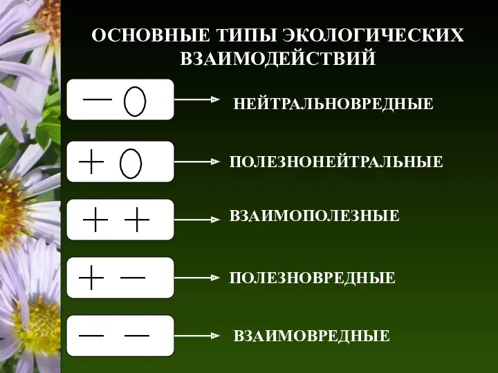 ОСНОВНЫЕ ТИПЫ ЭКОЛОГИЧЕСКИХ ВЗАИМОДЕЙСТВИЙ НЕЙТРАЛЬНОВРЕДНЫЕ ПОЛЕЗНОНЕЙТРАЛЬНЫЕ ВЗАИМОПОЛЕЗНЫЕ ПОЛЕЗНОВРЕДНЫЕ ВЗАИМОВРЕДНЫЕ