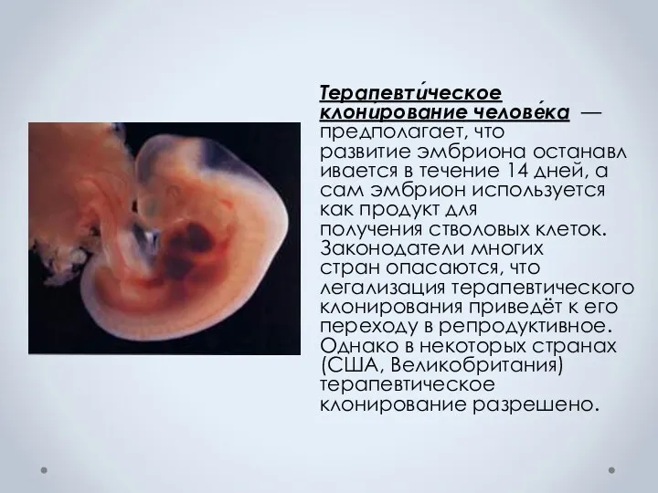 Терапевти́ческое клони́рование челове́ка — предполагает, что развитие эмбриона останавливается в