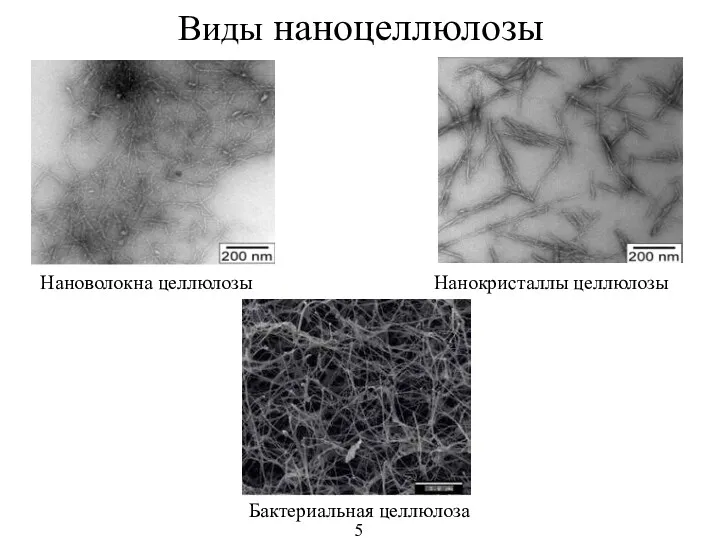 Виды наноцеллюлозы Нановолокна целлюлозы Нанокристаллы целлюлозы Бактериальная целлюлоза