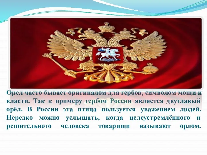 Орел часто бывает оригиналом для гербов, символом мощи и власти.