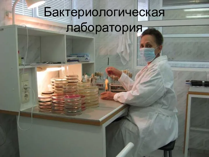 Бактериологическая лаборатория