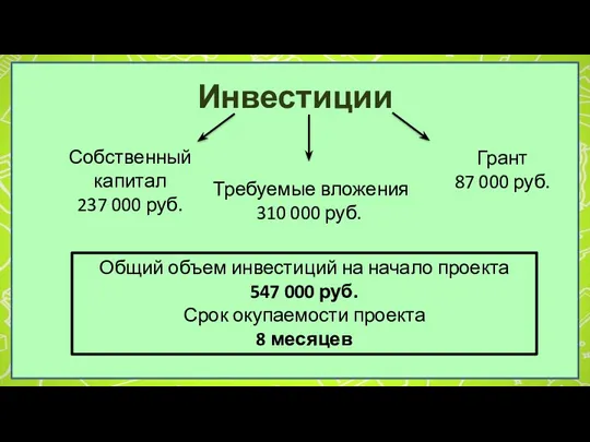 Инвестиции Собственный капитал 237 000 руб. Грант 87 000 руб.