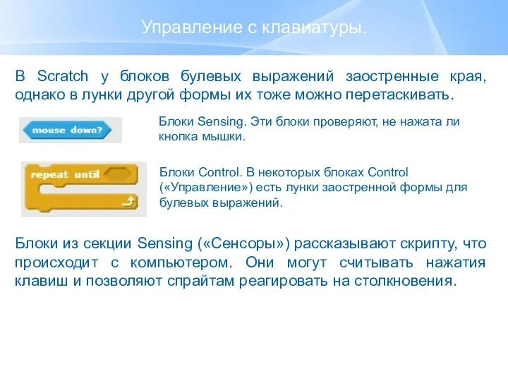 Управление с клавиатуры. В Scratch у блоков булевых выражений заостренные