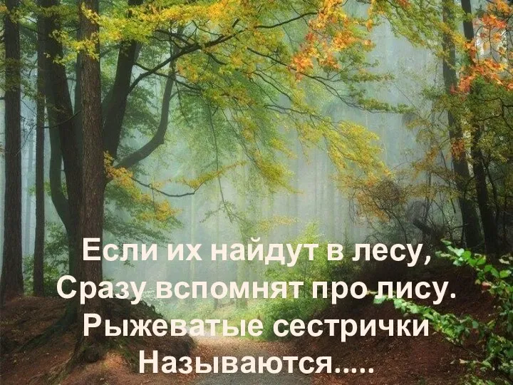 Если их найдут в лесу, Сразу вспомнят про лису. Рыжеватые сестрички Называются.....