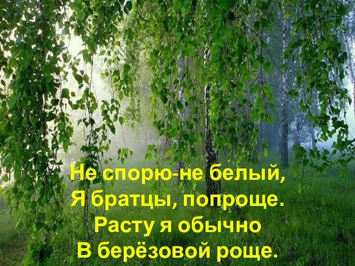 Не спорю-не белый, Я братцы, попроще. Расту я обычно В берёзовой роще.