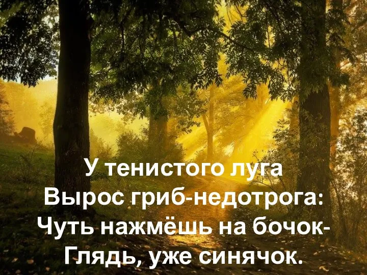 У тенистого луга Вырос гриб-недотрога: Чуть нажмёшь на бочок- Глядь, уже синячок.