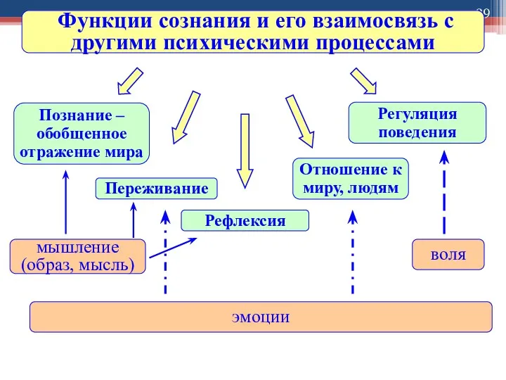 Функции сознания и его взаимосвязь с другими психическими процессами Рефлексия