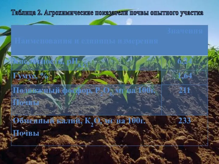 Таблица 2. Агрохимические показатели почвы опытного участка