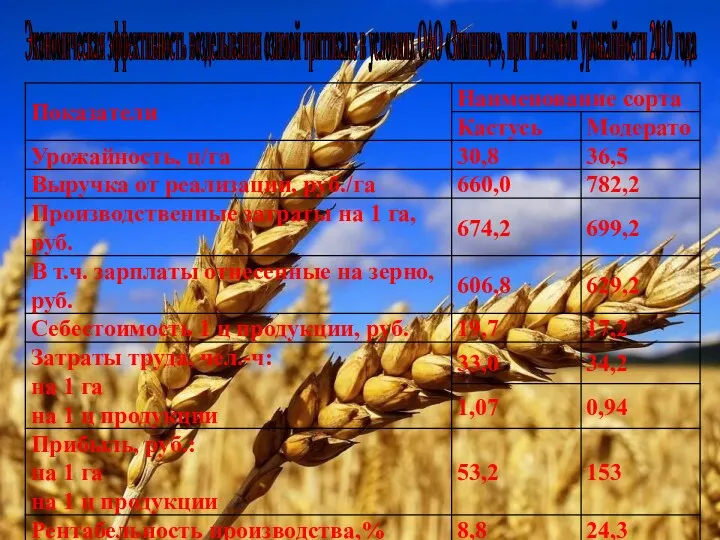 Экономическая эффективность возделывания озимой тритикале в условиях ОАО «Зимница», при плановой урожайности 2019 года