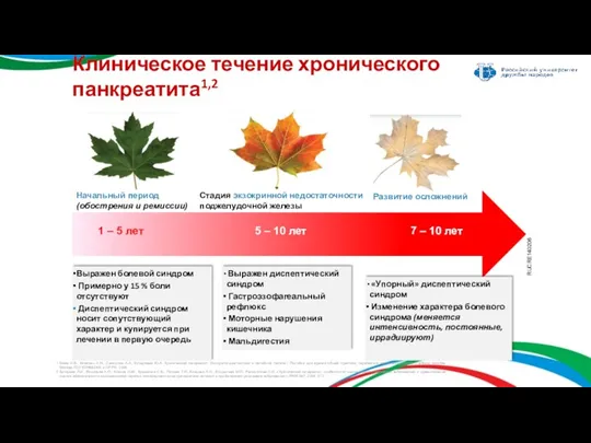 Клиническое течение хронического панкреатита1,2 Выражен диспептический синдром Гастроэзофагеальный рефлюкс Моторные