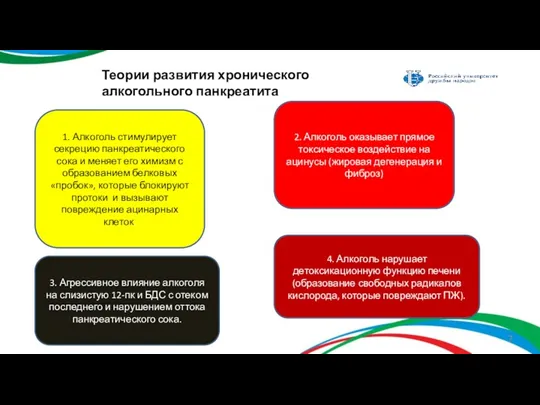 Теории развития хронического алкогольного панкреатита 1. Алкоголь стимулирует секрецию панкреатического