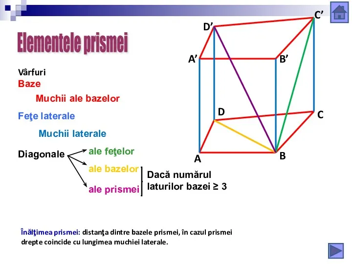 Baze Muchii laterale Muchii ale bazelor Feţe laterale Dacă numărul