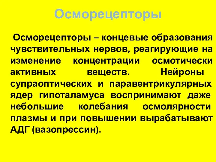 Осморецепторы Осморецепторы – концевые образования чувствительных нервов, реагирующие на изменение