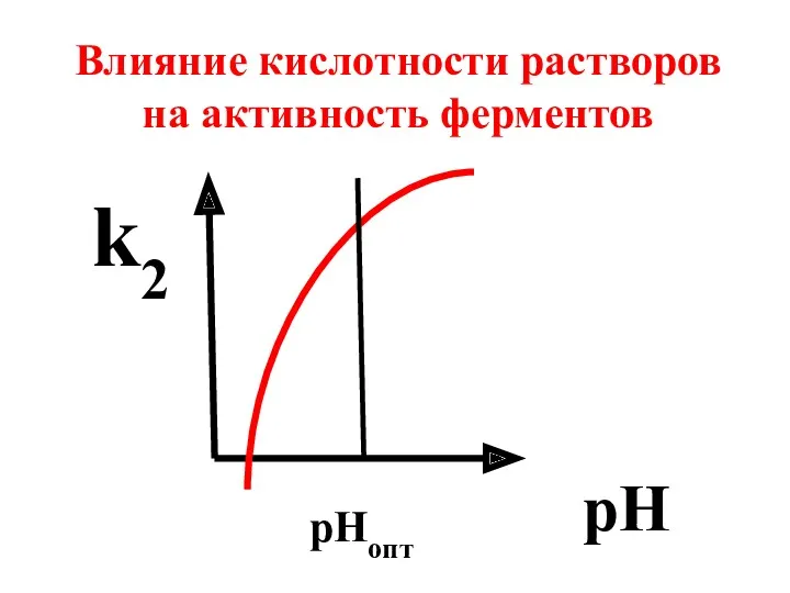 pH рНопт Влияние кислотности растворов на активность ферментов k2