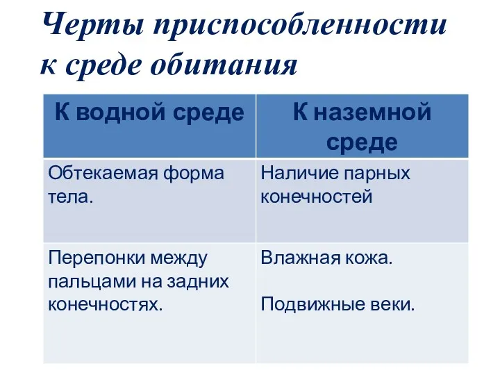 Черты приспособленности к среде обитания