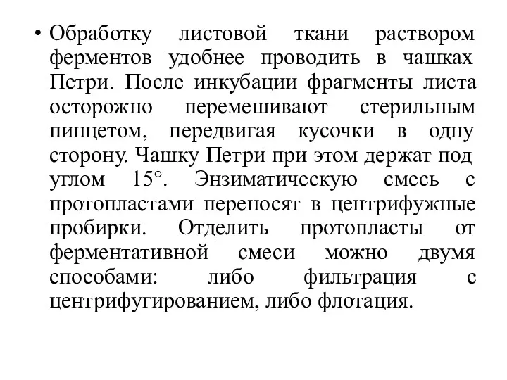 Обработку листовой ткани раствором ферментов удобнее проводить в чашках Петри.