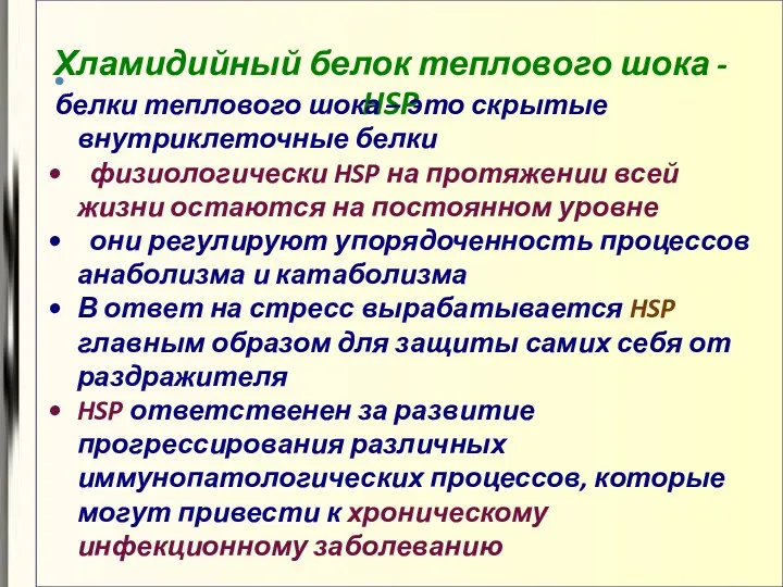 Хламидийный белок теплового шока - HSP белки теплового шока –